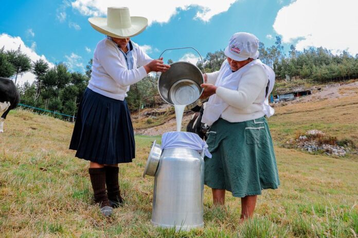 Midagri fortalece la cadena lechera con inversión y capacitación a ganaderos
