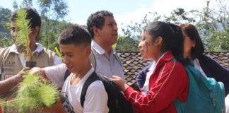 Sícchez y Jililí reciben 800 plantones en jornada ambiental Sícchez y Jililí reciben 800 plantones en jornada ambiental