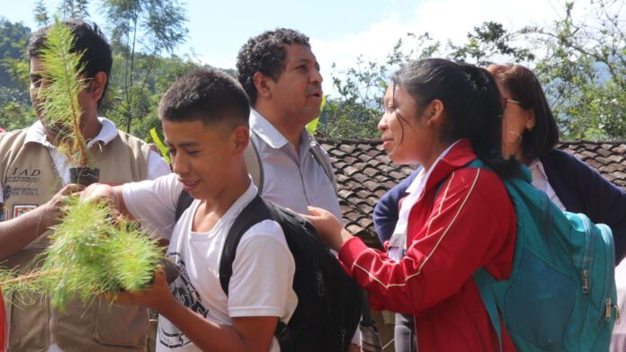 Sícchez y Jililí reciben 800 plantones en jornada ambiental