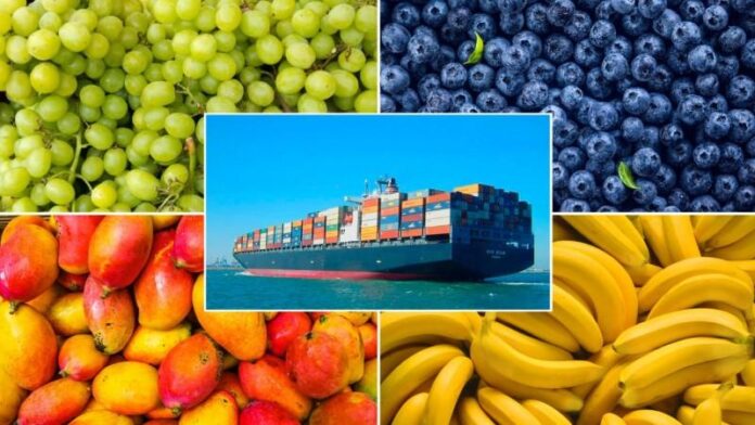 Agroexportaciones peruanas aumentan 24.5% y suman US$ 3,594 millones al cierre de abril de 2025