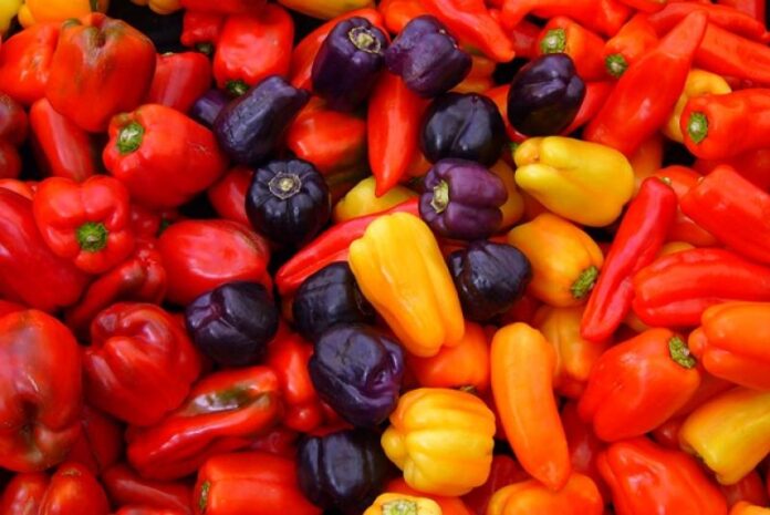 Exportaciones de ajíes y pimientos peruanos inician 2025 con buenas perspectivas y desafíos en inocuidad Exportaciones de ajíes y pimientos peruanos inician 2025 con buenas perspectivas y desafíos en inocuidad