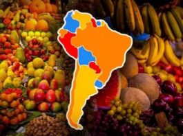 Agroexportación en Latinoamérica: conoce los países principales y sus productos Agroexportación en Latinoamérica: conoce los países principales y sus productos