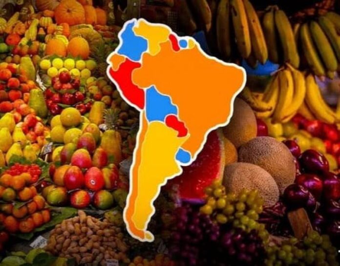 Agroexportación en Latinoamérica: conoce los países principales y sus productos