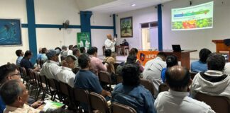 Productores de mango en Tambogrande refuerzan su competitividad con apoyo interinstitucional Productores de mango en Tambogrande refuerzan su competitividad con apoyo interinstitucional