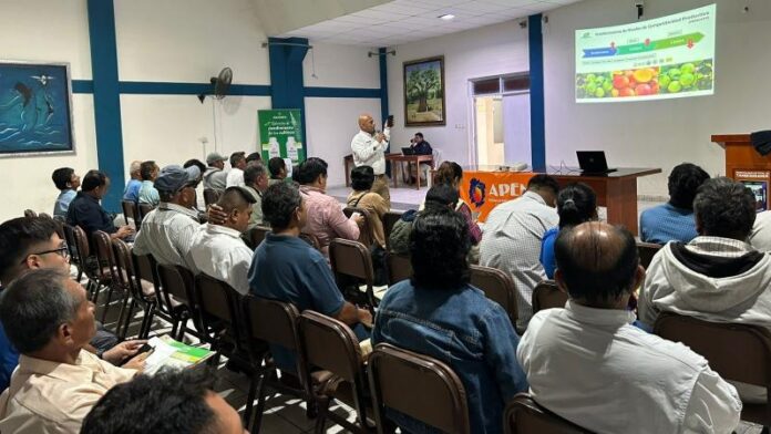Productores de mango en Tambogrande refuerzan su competitividad con apoyo interinstitucional