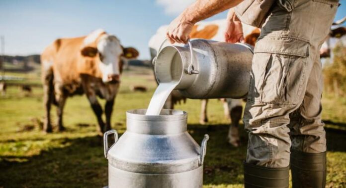 Perú exportó más de US$ 15 millones en leche evaporada hasta mayo de 2025