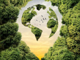 Día Mundial del Ambiente 2025: conoce el tema central y la importancia para el Perú Día Mundial del Ambiente 2025: conoce el tema central y la importancia para el Perú