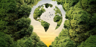 Día Mundial del Ambiente 2025: conoce el tema central y la importancia para el Perú Día Mundial del Ambiente 2025: conoce el tema central y la importancia para el Perú