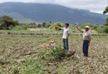Agricultores de Piura solicitan a Dina Boluarte mejoras en el sector agrario Agricultores de Piura solicitan a Dina Boluarte mejoras en el sector agrario