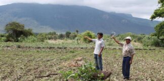 Agricultores de Piura solicitan a Dina Boluarte mejoras en el sector agrario Agricultores de Piura solicitan a Dina Boluarte mejoras en el sector agrario