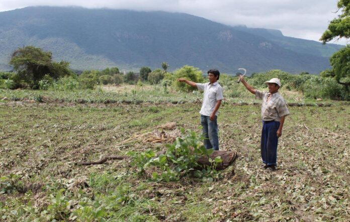 Agricultores de Piura solicitan a Dina Boluarte mejoras en el sector agrario