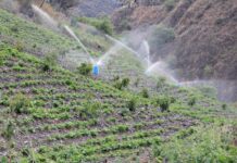 Midagri ejecuta más de 130 proyectos de riego tecnificado en 19 regiones del Perú Midagri ejecuta más de 130 proyectos de riego tecnificado en 19 regiones del Perú