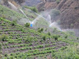 Midagri ejecuta más de 130 proyectos de riego tecnificado en 19 regiones del Perú Midagri ejecuta más de 130 proyectos de riego tecnificado en 19 regiones del Perú