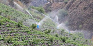 Midagri ejecuta más de 130 proyectos de riego tecnificado en 19 regiones del Perú Midagri ejecuta más de 130 proyectos de riego tecnificado en 19 regiones del Perú