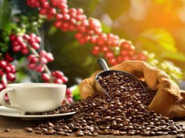 Café: precios se ajustan tras máximos históricos y reconfiguran el mercado global Café: precios se ajustan tras máximos históricos y reconfiguran el mercado global
