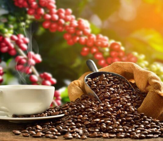 Café: precios se ajustan tras máximos históricos y reconfiguran el mercado global Café: precios se ajustan tras máximos históricos y reconfiguran el mercado global