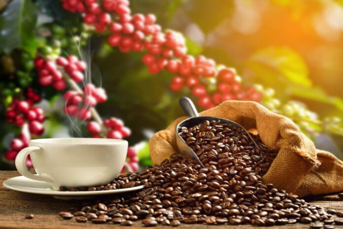 Café: precios se ajustan tras máximos históricos y reconfiguran el mercado global