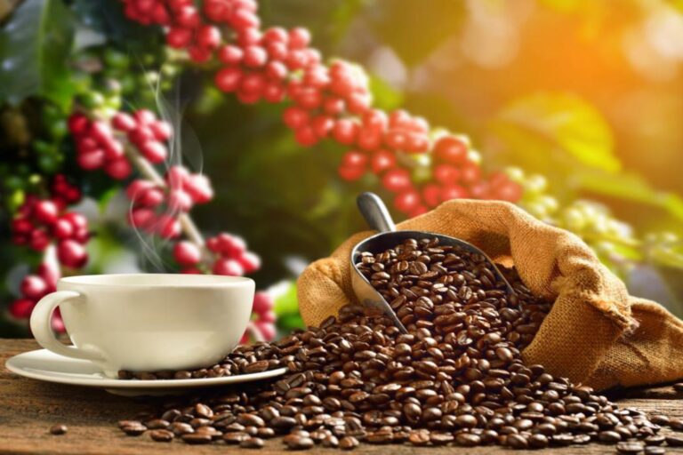 Café: precios se ajustan tras máximos históricos y reconfiguran el mercado global