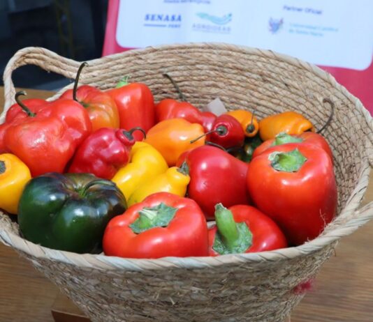 Exportaciones de capsicum peruano crecieron 11% entre enero y mayo, según Adex Exportaciones de capsicum peruano crecieron 11% entre enero y mayo, según Adex