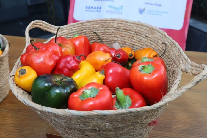 Exportaciones de capsicum peruano crecieron 11% entre enero y mayo, según Adex