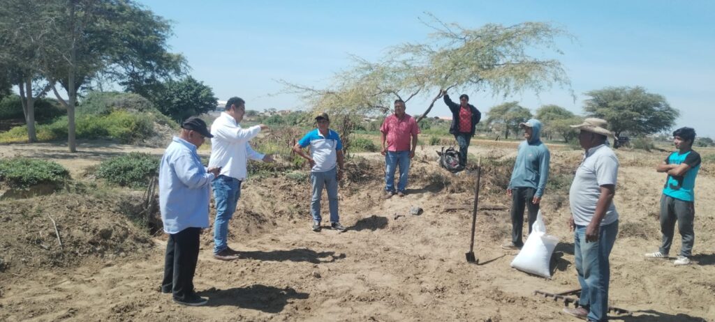 Vichayal: GORE apuesta por el ajonjolí y frijol loctao con parcelas demostrativas