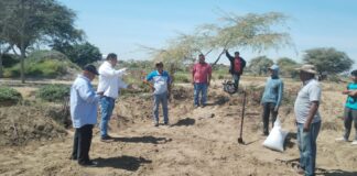 Vichayal: GORE apuesta por el ajonjolí y frijol loctao con parcelas demostrativas Vichayal: GORE apuesta por el ajonjolí y frijol loctao con parcelas demostrativas