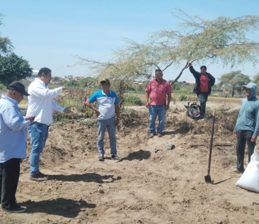 Vichayal: GORE apuesta por el ajonjolí y frijol loctao con parcelas demostrativas Vichayal: GORE apuesta por el ajonjolí y frijol loctao con parcelas demostrativas