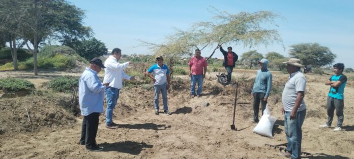 Vichayal: GORE apuesta por el ajonjolí y frijol loctao con parcelas demostrativas