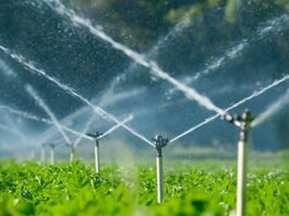 Midragi impulsa 25 proyectos estratégicos para ampliar la frontera agrícola en 15 regiones MIDAGRI impulsa 25 proyectos estratégicos para ampliar la frontera agrícola en 15 regiones