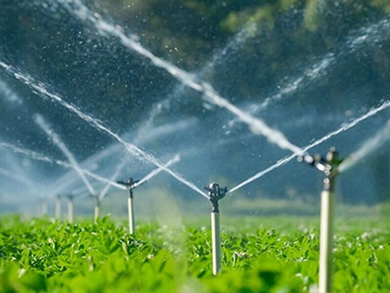 MIDAGRI impulsa 25 proyectos estratégicos para ampliar la frontera agrícola en 15 regiones