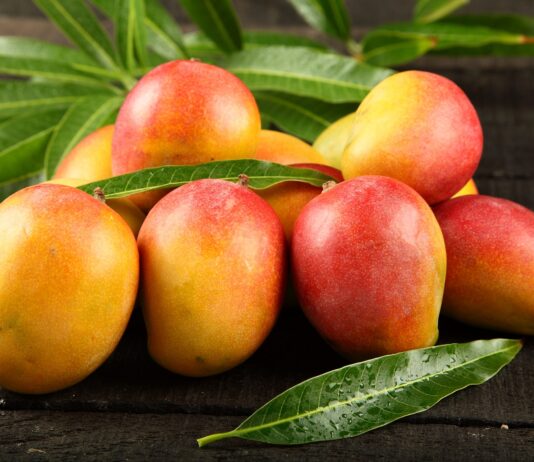 Piura: agroexportaciones crecen 38% entre enero y abril, impulsadas por demanda de mango Piura: agroexportaciones crecen 38 % entre enero y abril, impulsadas por demanda de mango