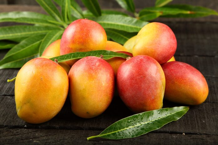 Piura: agroexportaciones crecen 38 % entre enero y abril, impulsadas por demanda de mango
