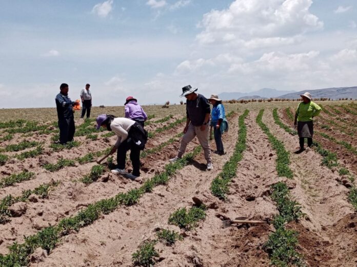 Gremios agrarios rechazan bloqueos de carreteras realizados por mineros ilegales
