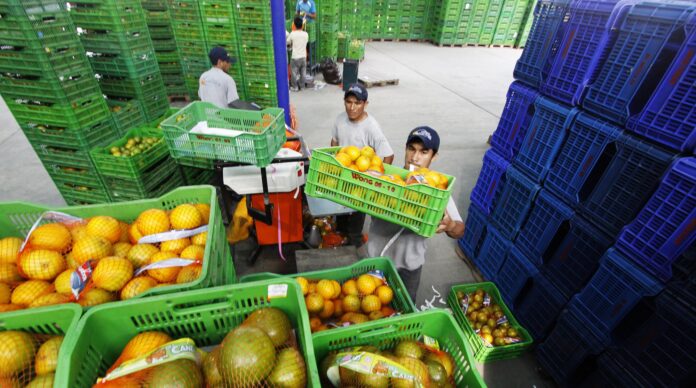 Agroexportación peruana: clave del crecimiento económico y transformación rural