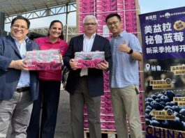 Primer envío de arándanos 2025-2026 llega a China desde el puerto de Chancay Primer envío de arándanos 2025-2026 llega a China desde el puerto de Chancay
