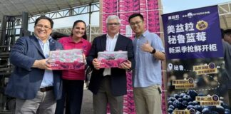 Primer envío de arándanos 2025-2026 llega a China desde el puerto de Chancay Primer envío de arándanos 2025-2026 llega a China desde el puerto de Chancay