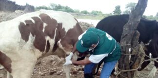 Evento agropecuario reunirá a expertos de Perú y Nueva Zelanda en Piura Evento agropecuario reuniráne a expertos de Perú y Nueva Zelanda en Piura