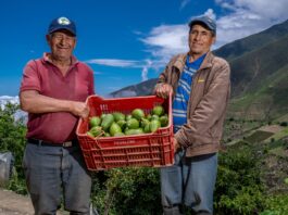 MIDAGRI: Producción agropecuaria peruana creció 9,3 % en mayo de 2025 MIDAGRI: Producción agropecuaria peruana creció 9,3 % en mayo de 2025
