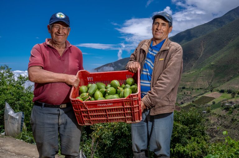 MIDAGRI: Producción agropecuaria peruana creció 9,3 % en mayo de 2025
