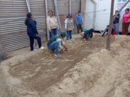 El Gobierno Regional de Piura impulsa cultivos escolares y comunales en Cura Mori Piura: el Gobierno Regional incentiva el aprendizaje práctica en escuelas del Bajo Piura