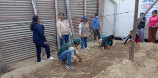 El Gobierno Regional de Piura impulsa cultivos escolares y comunales en Cura Mori Piura: el Gobierno Regional incentiva el aprendizaje práctica en escuelas del Bajo Piura
