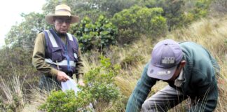 Chulucanas será sede del XIII Congreso Latinoamericano de Plantas Medicinales Chulucanas será sede del XIII Congreso Latinoamericano de Plantas Medicinales