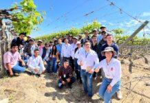 Jóvenes de Ayabaca y Huancabamba se capacitan en riego tecnificado en agroexportadora Rapel Jóvenes de Ayabaca y Huancabamba se capacitan en riego tecnificado en agroexportadora Rapel