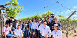 Jóvenes de Ayabaca y Huancabamba se capacitan en riego tecnificado en agroexportadora Rapel Jóvenes de Ayabaca y Huancabamba se capacitan en riego tecnificado en agroexportadora Rapel