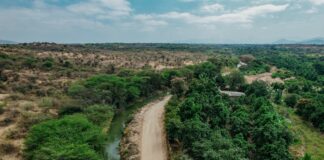 Tambogrande mejora vía rural clave y beneficia a más de 2,000 agricultores Tambogrande mejora vía rural clave y beneficia a más de 2,000 agricultores