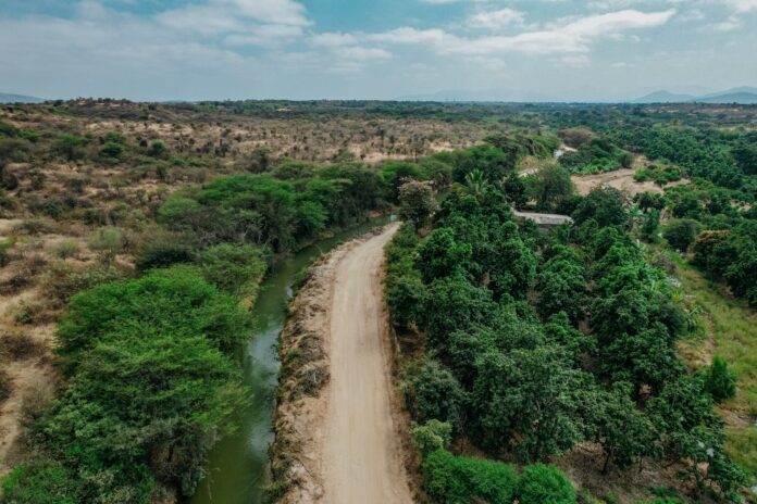 Tambogrande mejora vía rural clave y beneficia a más de 2,000 agricultores