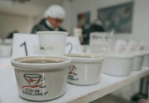 Taza de Excelencia Perú 2025 reconocerá a los mejores cafés del país Taza de Excelencia Perú 2025
