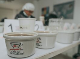 Taza de Excelencia Perú 2025 reconocerá a los mejores cafés del país Taza de Excelencia Perú 2025