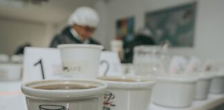 Taza de Excelencia Perú 2025 reconocerá a los mejores cafés del país Taza de Excelencia Perú 2025