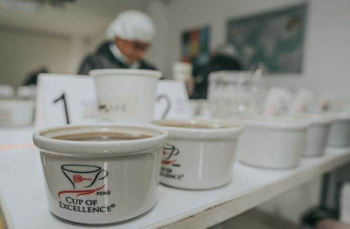 Taza de Excelencia Perú 2025